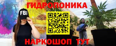 бошки Дубна