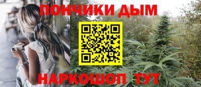 бошки Дубна