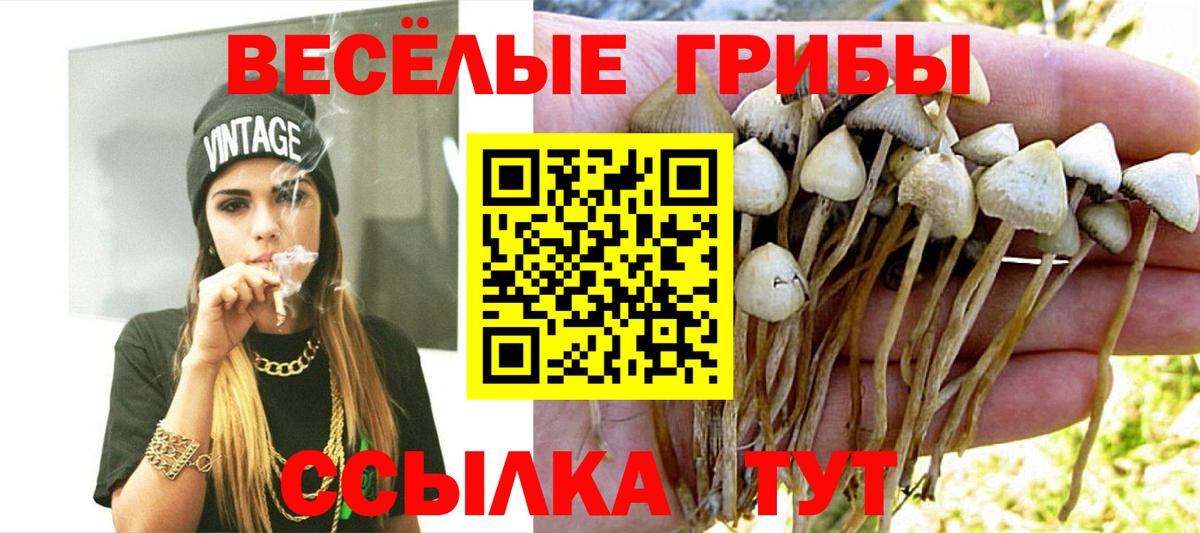 МЕФ кристаллы  Конопля  Вход с VPN  APVP СК   Экстази  NBOMe  Гашиш  Людиново  Вейп ТГК 